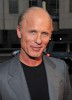 photo Ed Harris (Stimme)