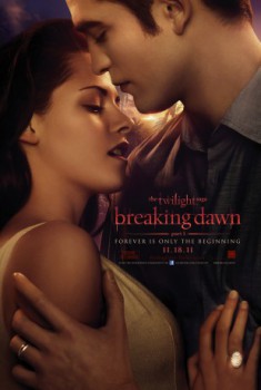 poster Breaking Dawn - Bis(s) zum Ende der Nacht: Teil 1
          (2011)
        