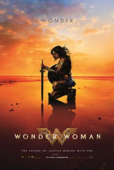 poster Wonder Woman
          (2017)
        
